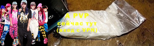 сатива Армянск