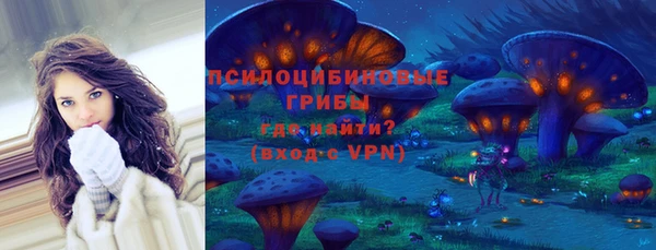 дживик Арсеньев