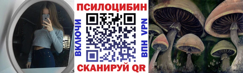 Псилоцибиновые грибы ЛСД Салехард