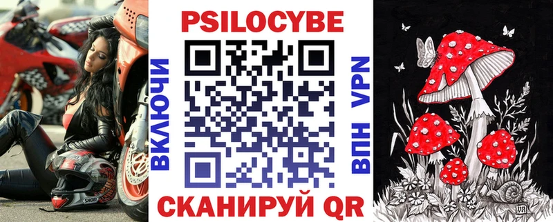 Галлюциногенные грибы Psilocybine cubensis  KRAKEN маркетплейс  Салехард  продажа наркотиков 