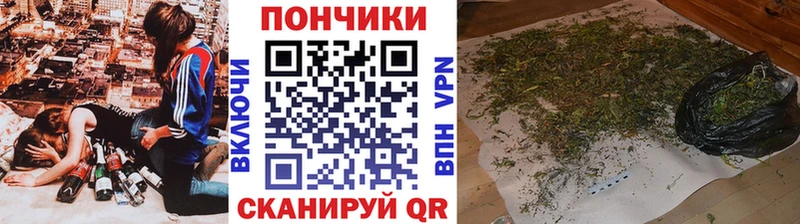 закладки  Салехард  Бошки марихуана тримм 